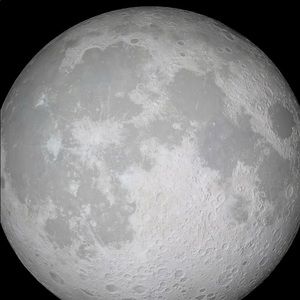 Meet your Posher, Jana